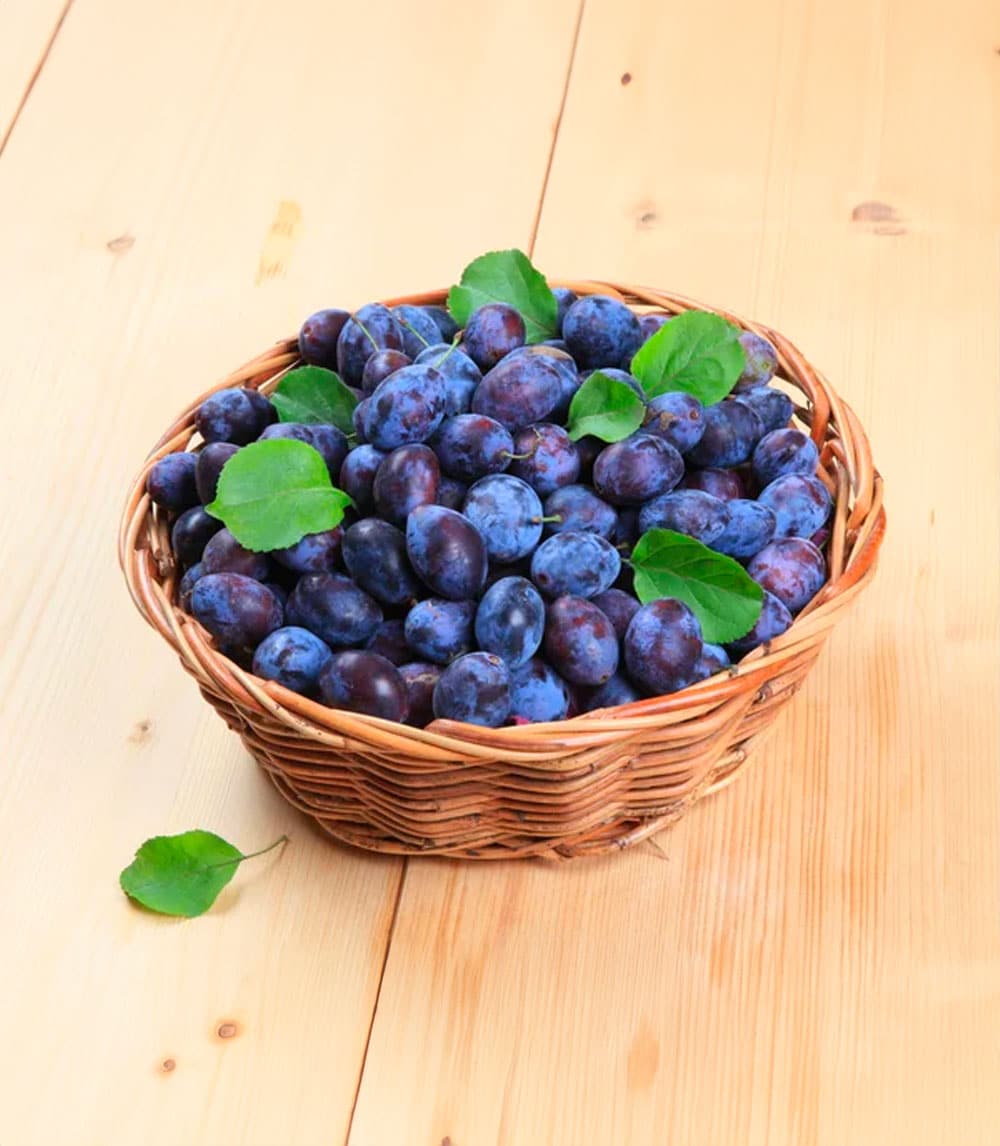 Panier-de-quetsche Quetsche de Lorraine